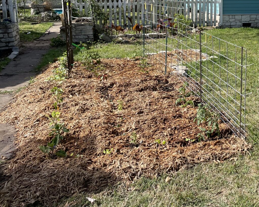 Fully mulched garden bed provides many benefits to your plants as well as keeping weeds away.