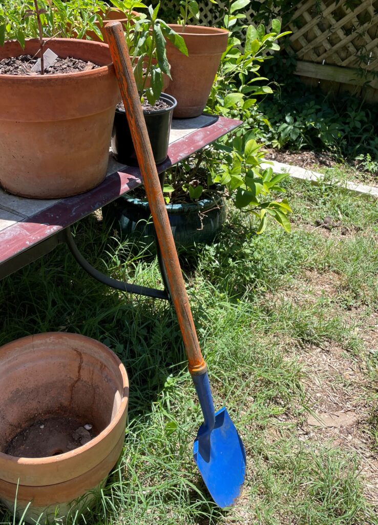 My favorite garden shovel -- small and to the point. (photo credit: lea bowman)