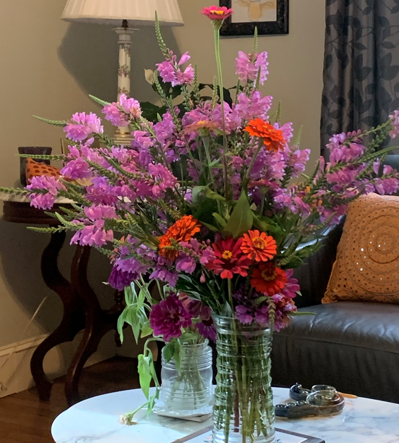 Obedient plant is a perennial, even though not very obedient,  It spreads quickly and can take up quite a bit of space.  It does make a pretty bouquet however.  Here it is with zinnias – a perennial with an annual.