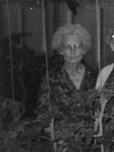 This is a photo of my grandmother, Grammy, Sr., in their self-made greenhouse.