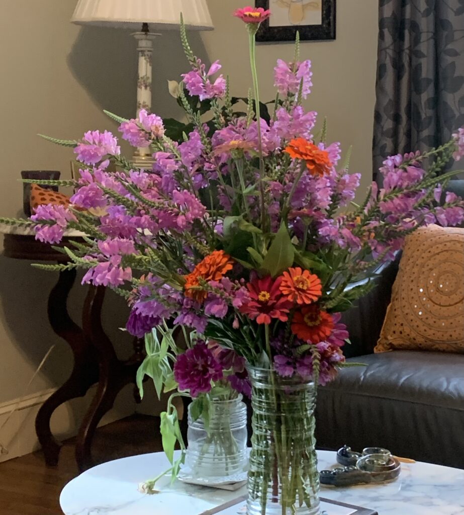 Obedient plant blooms and zinnia blooms liven up your air-conditioned living room if you garden when it's hot.