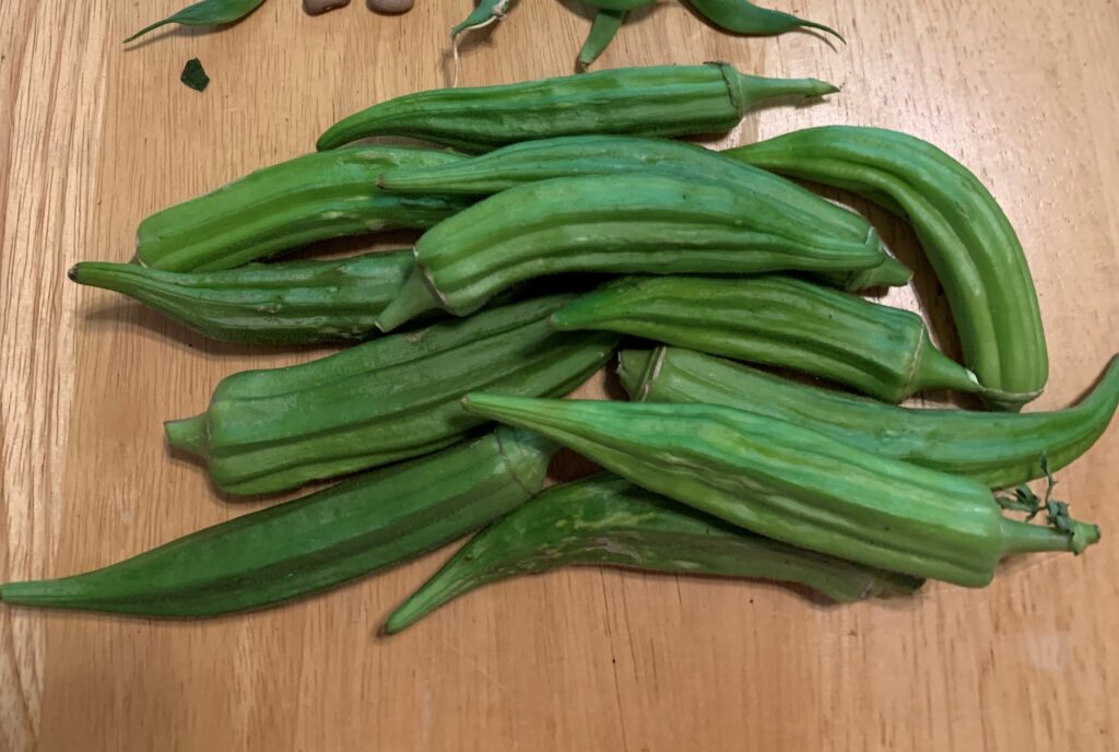 Okra is very nutritious and there are so many ways to cook it.  This photo shows a pile of fresh okra.