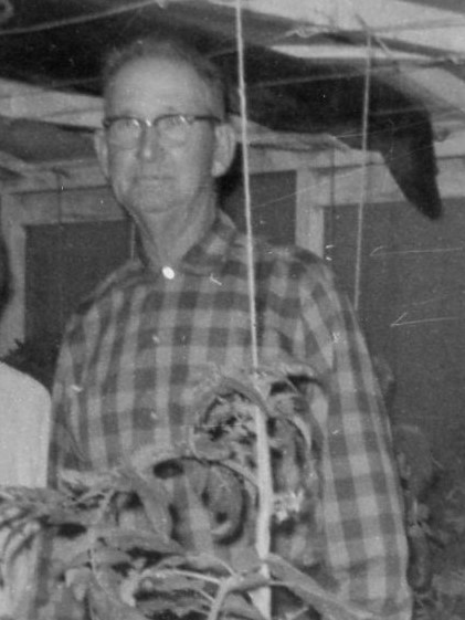 This is a picture of my grandfather, Papa Vaughan, in the greenhouse next to a tomato tied to the ceiling with twine.