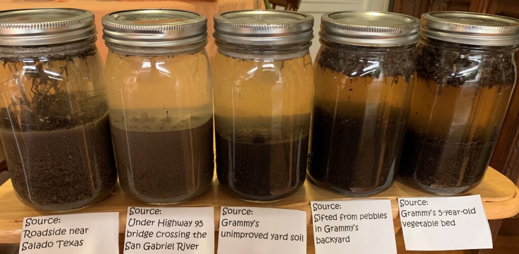 Here are the five jars the next morning after the soil had settled.