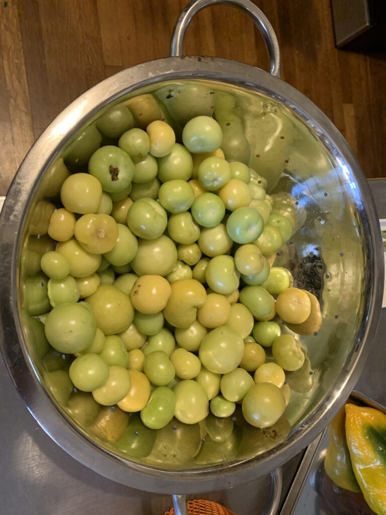 This photo shows lots and lots of tomatillos but it's from one Godzilla of a plant! My favorite variety of Tomatillo was Cisneros.  