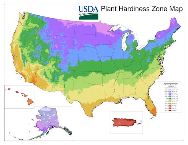 This image is of the USDA Hardiness Zone Map.  The zones show the minimum winter temperature.  See link below for an interactive version from the USDA.