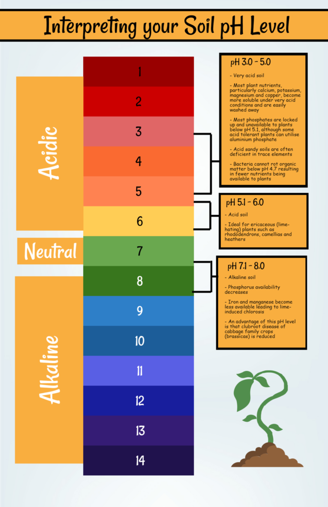 This pH scale not only shows how the numbers represent acidity and alkalinity, it show the effects on nutrients as you go from very acid to very alkaline.  (Courtesy of Mainland Aggregates)
