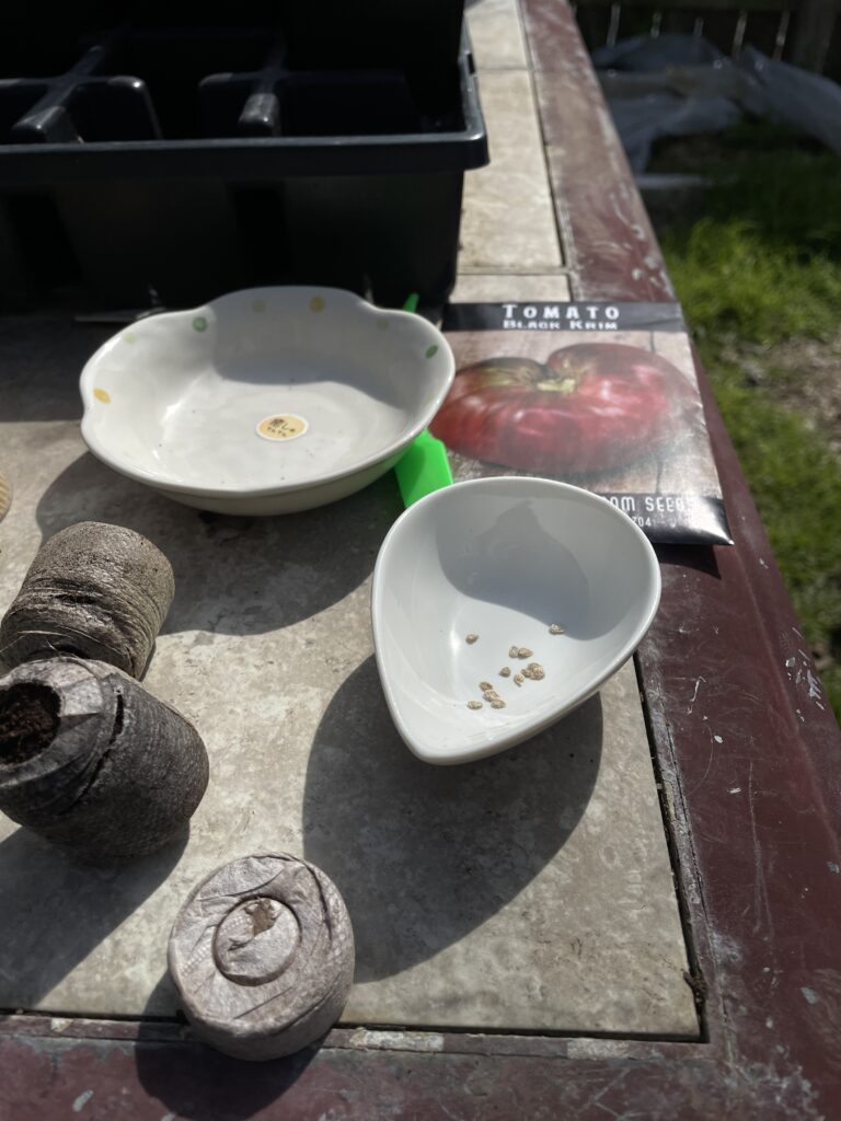 This photo shows the tools you need to grow seeds are simple: a little dish or bowl, the planting medium and tools to measure the depth of the planting. a little dish or bowl, the planting medium and tools to measure the depth of the planting.