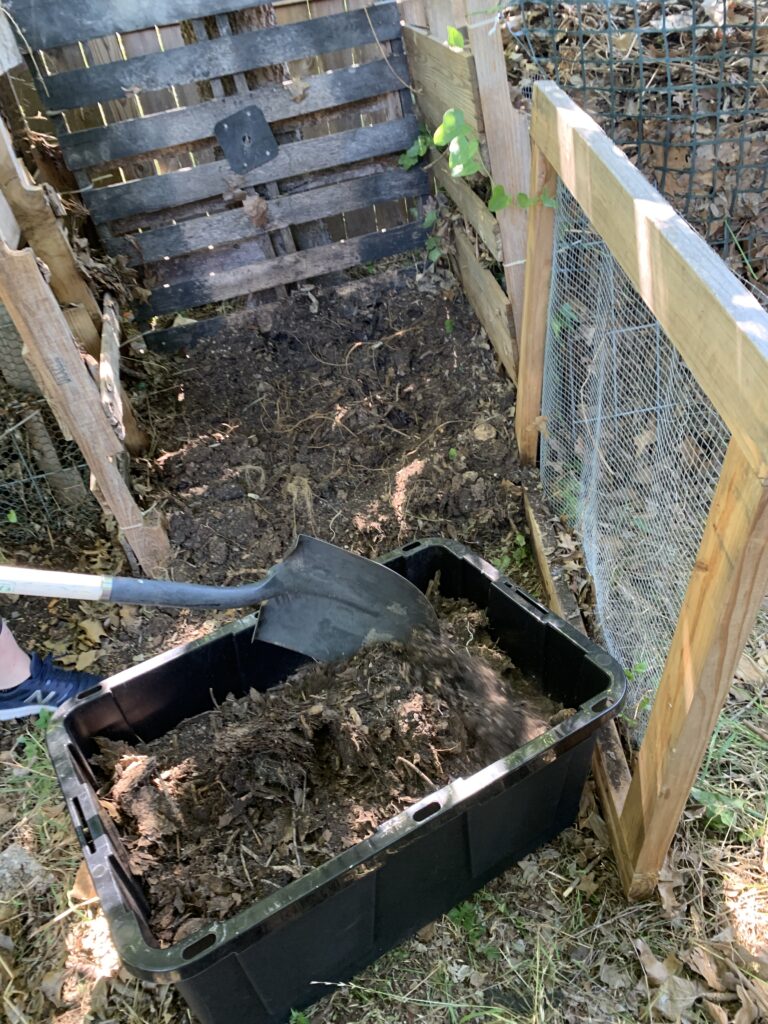 This photo shows the wooden frame door described in the text.  lea is shoveling out finished compost from the bottom of the bin.