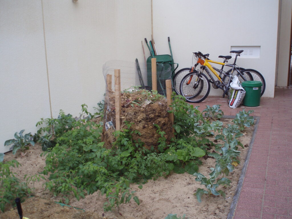 This compost bin has tomatoes and cucumbers growing around it.  Some compost has sprouted o the top.